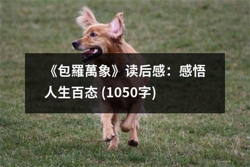 读包羅萬象有感：于文字间感悟人生百态